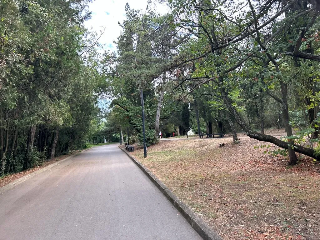 Când pădurea e parc-bijuterie, nu coș de gunoi sau pârloagă. Parcul Ayazmoto, Stara Zagora (FOTO)  – foto 9