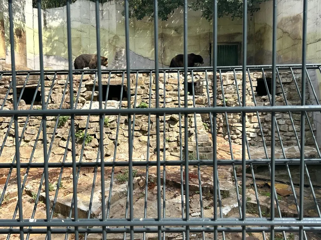 Când pădurea e parc-bijuterie, nu coș de gunoi sau pârloagă. Parcul Ayazmoto, Stara Zagora (FOTO)  – foto 12