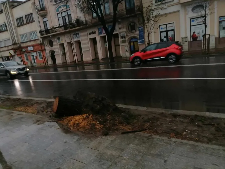Constănțenii, către primărie: „Salvați ce se mai poate!” – foto 2