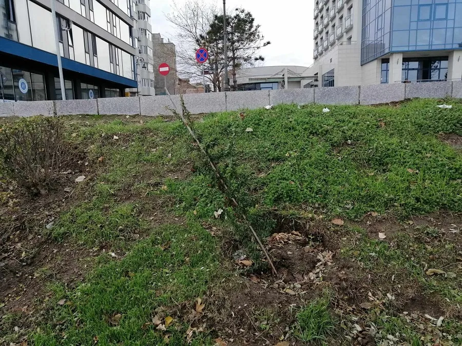 Cum le-a suflat vântul, așa au rămas! – foto 2