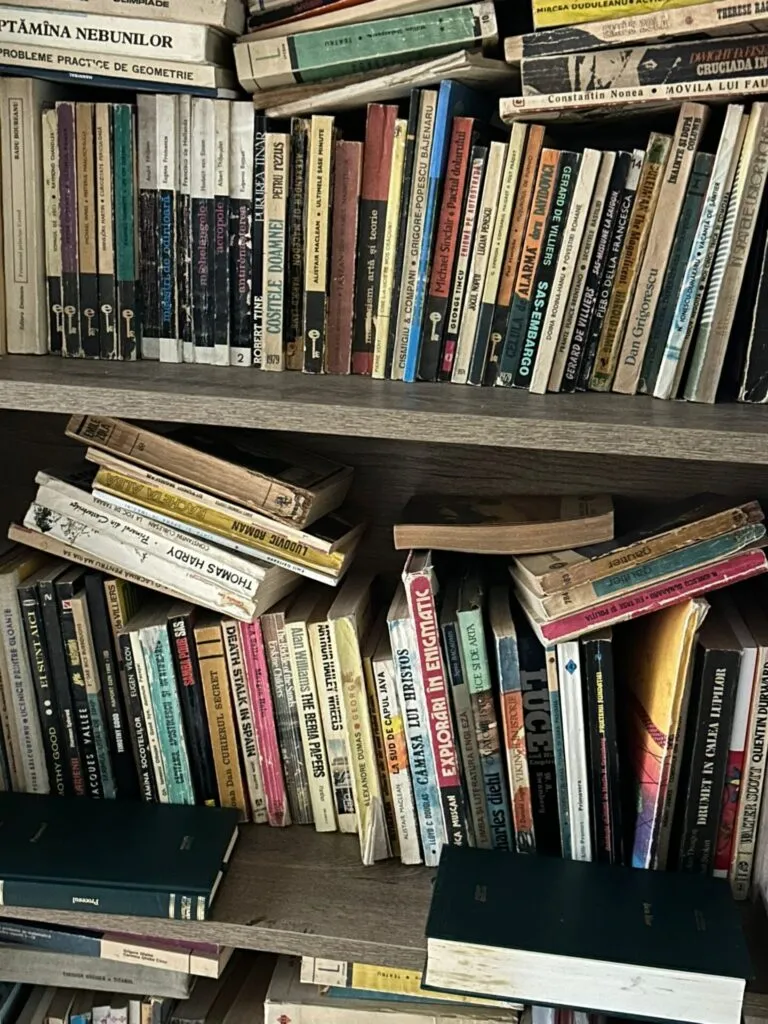 Și totuși, se citește. Biblioteca de la gară rezistă – foto 5