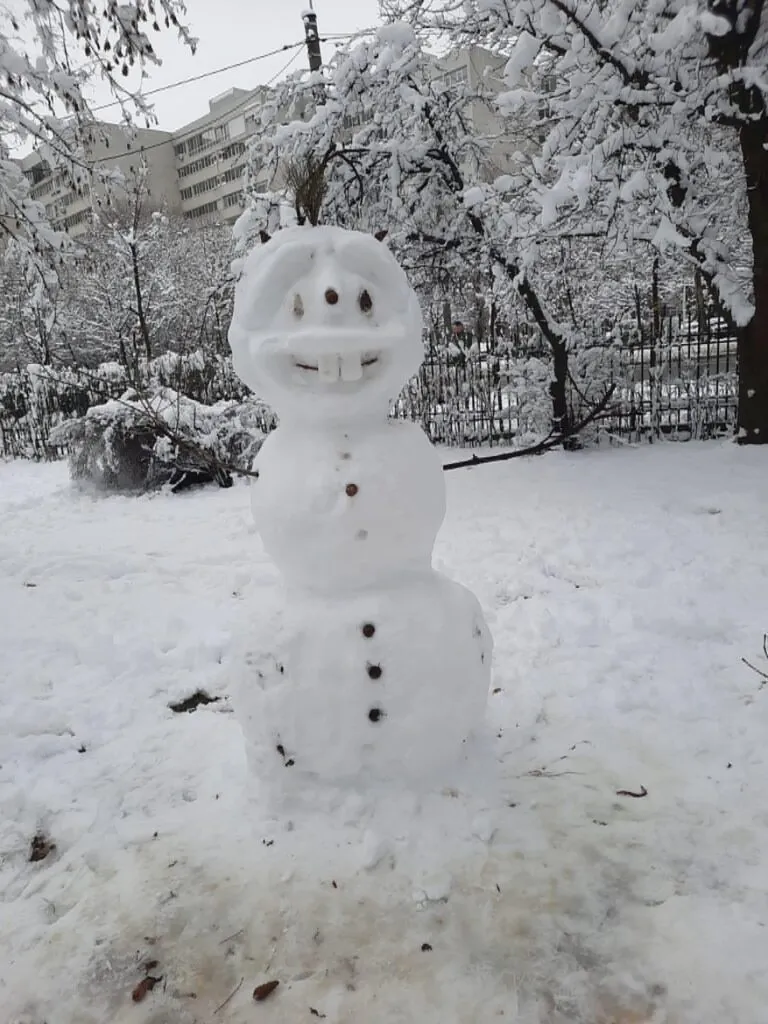 Viral de iarnă: Iepurele “născut” în copac (FOTO) – foto 5