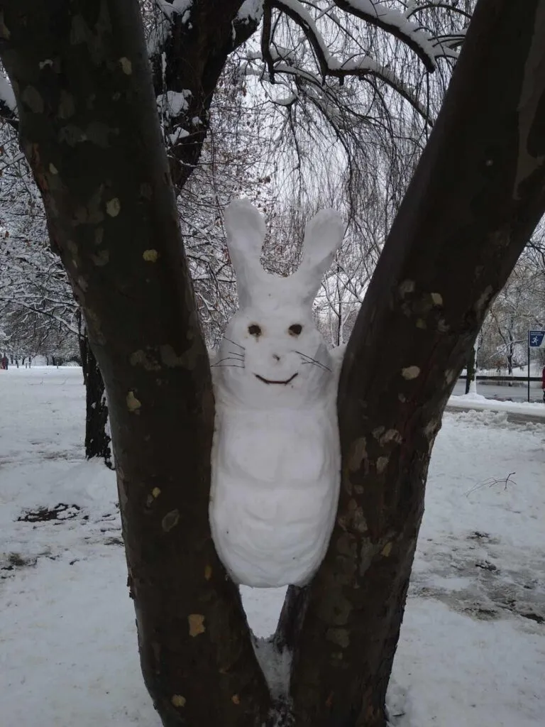 Viral de iarnă: Iepurele “născut” în copac (FOTO) – foto 2