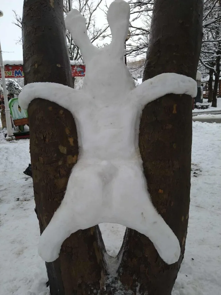 Viral de iarnă: Iepurele “născut” în copac (FOTO) – foto 3