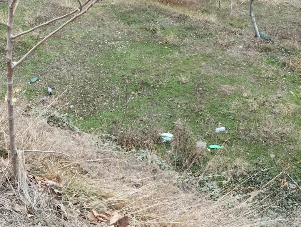 Unii aruncă gunoaie, alții se fac că le strâng – foto 2
