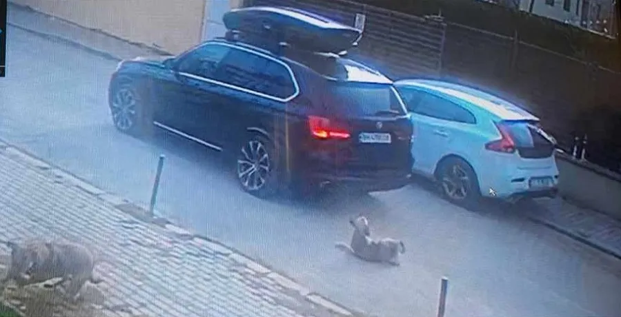 Șoferii care accelerează frica din inimile oamenilor! Lovesc și fug! – foto 2