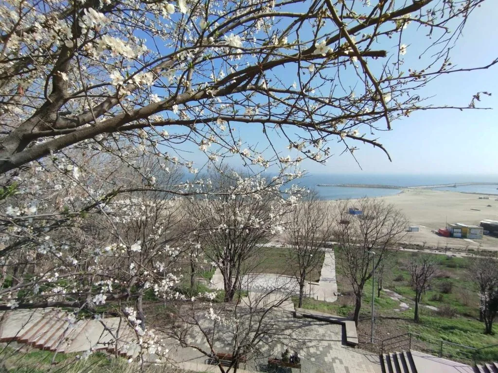 Momentul în care Constanța redevine frumoasă – foto 8