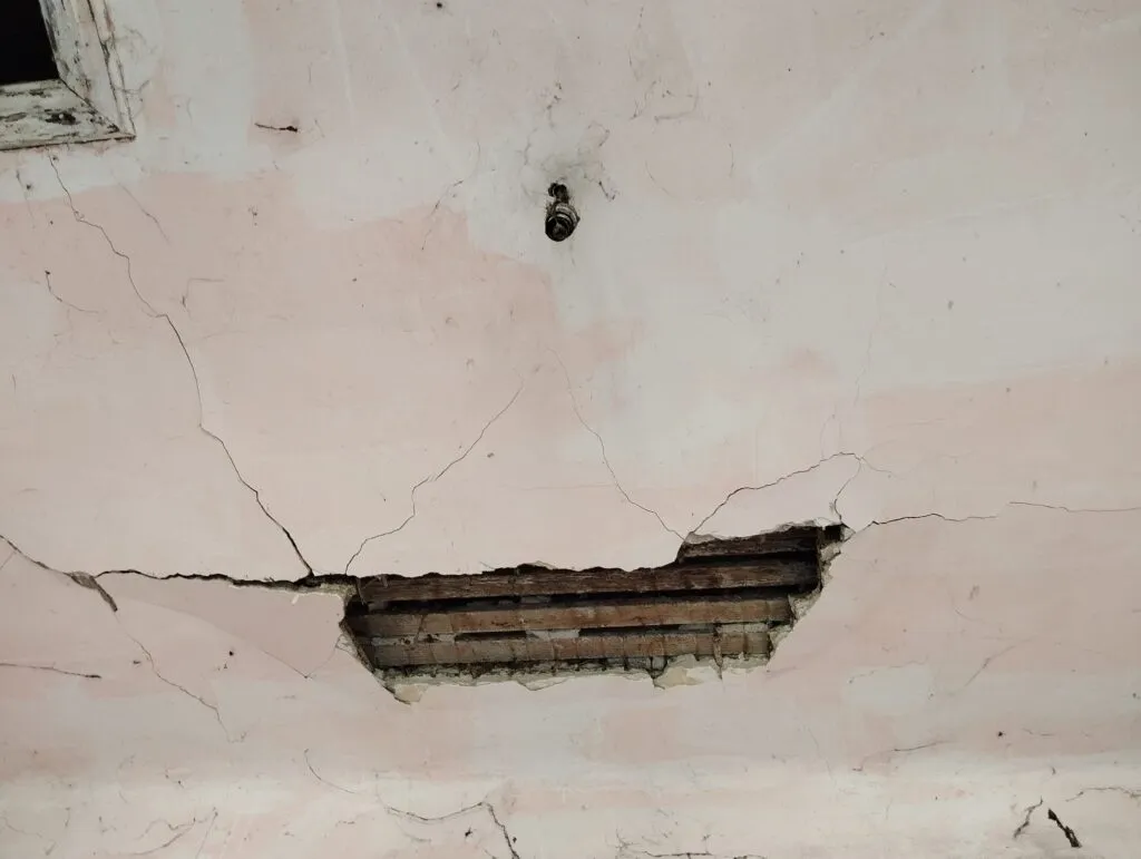 Abonați la abandon. Ce se întâmplă și ce putem face – foto 5