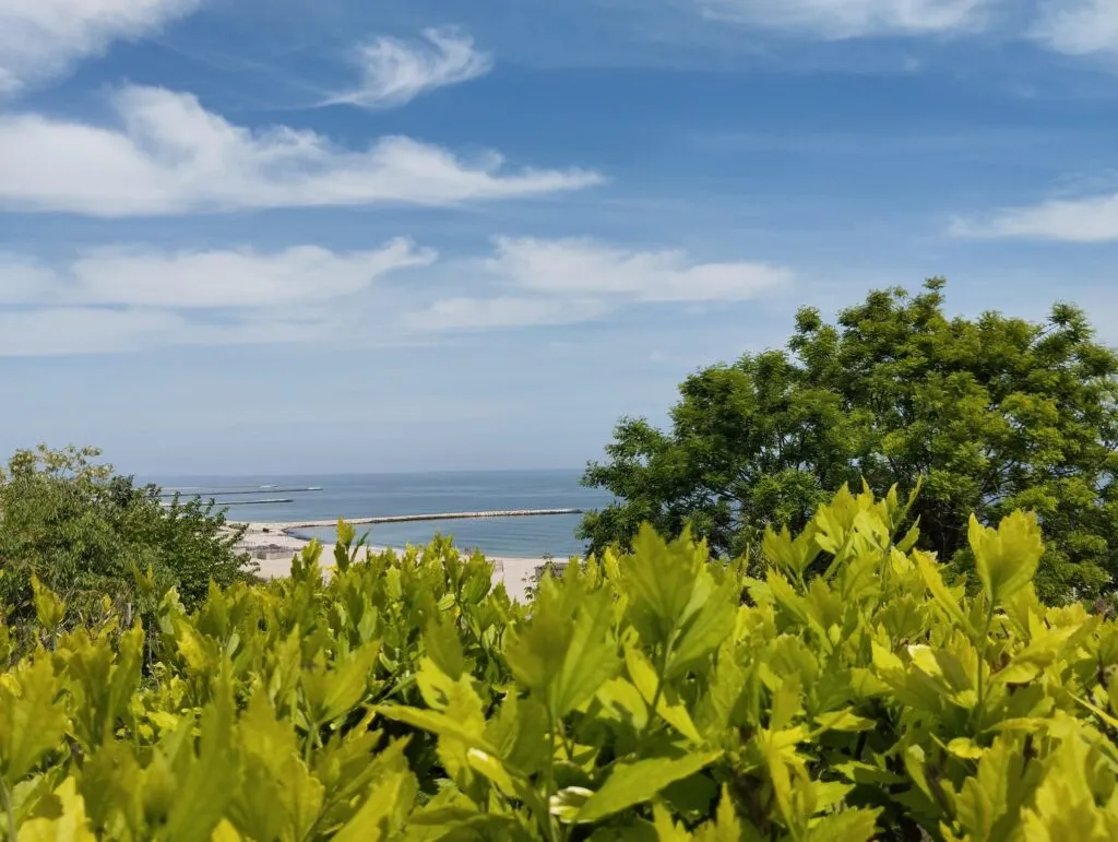Peisaje spectaculoase în Constanța, la început de mai – foto 2
