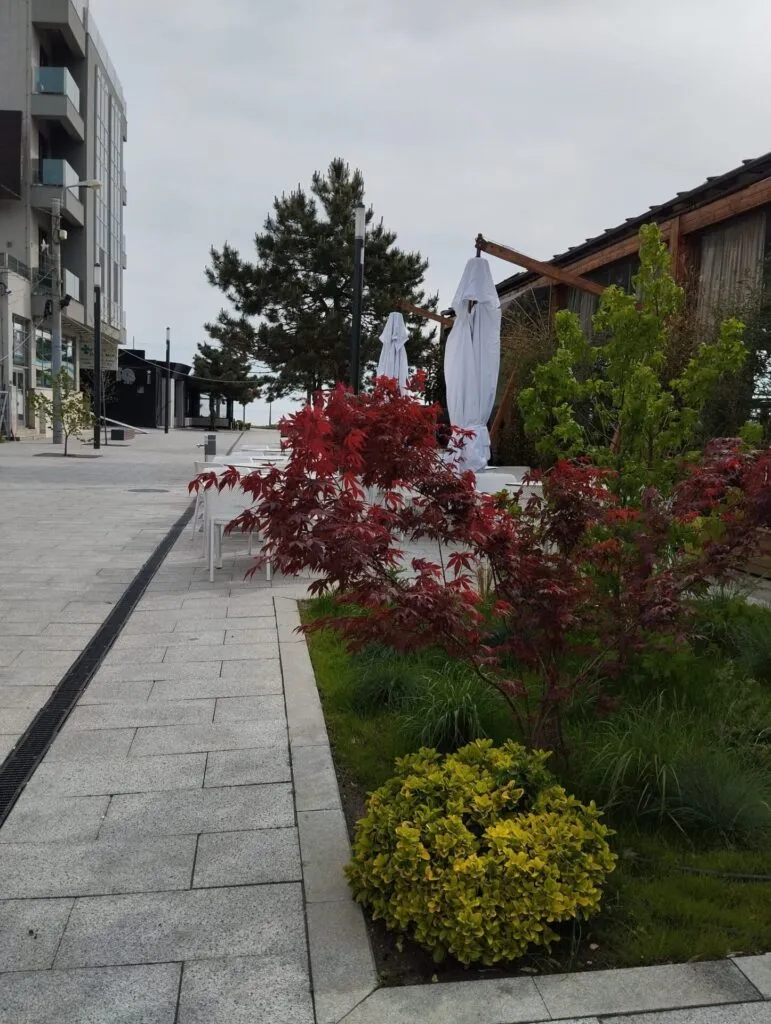 Peisaje spectaculoase în Constanța, la început de mai – foto 7