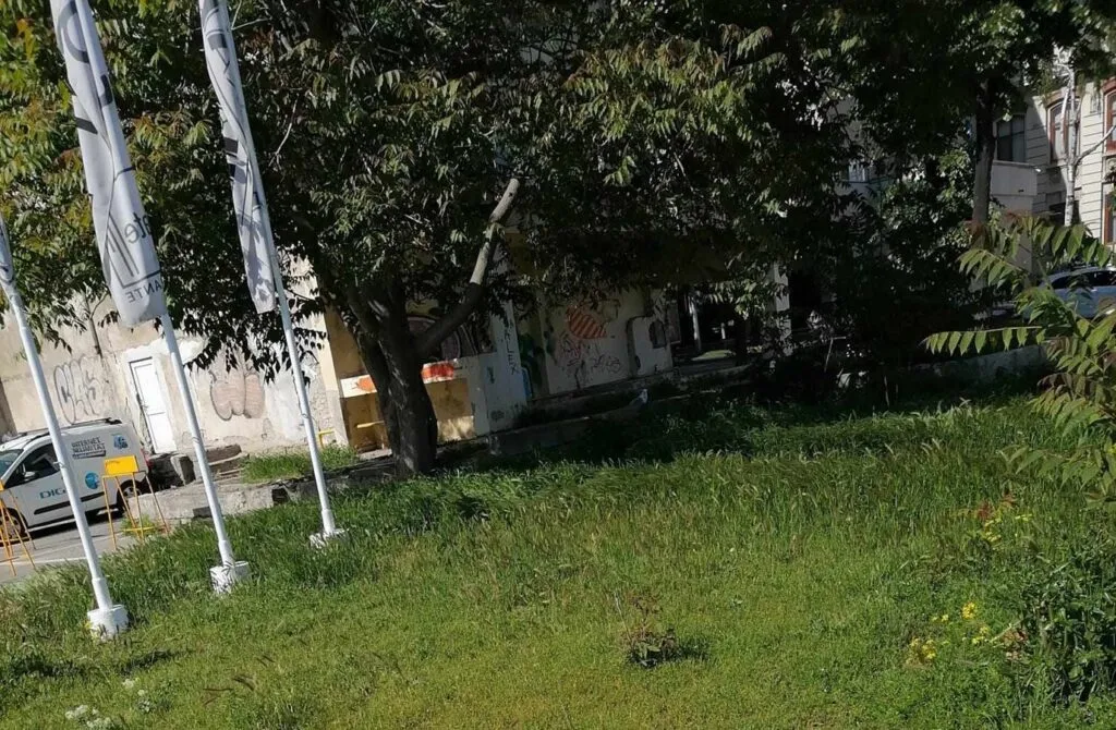 În atenția Poliției: Femei în pericol, în centrul Constanței! – foto 2