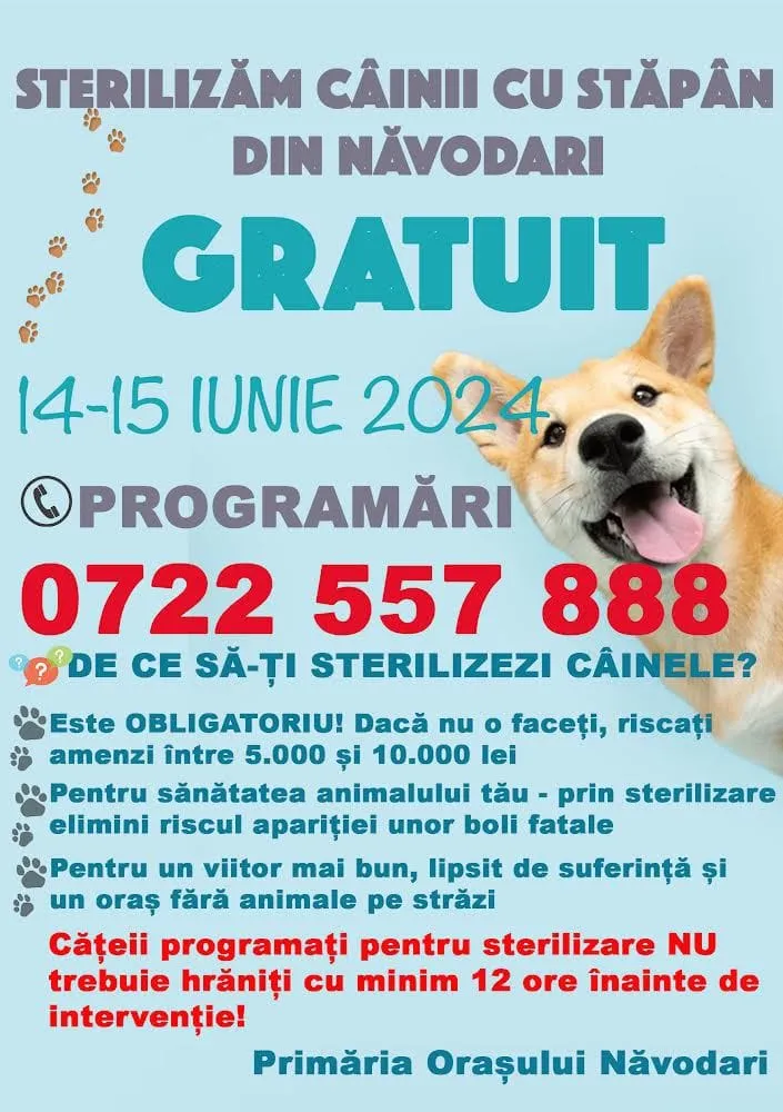 Continuă campania de sterilizare gratuită a câinilor cu stăpâni din Năvodari – foto 2
