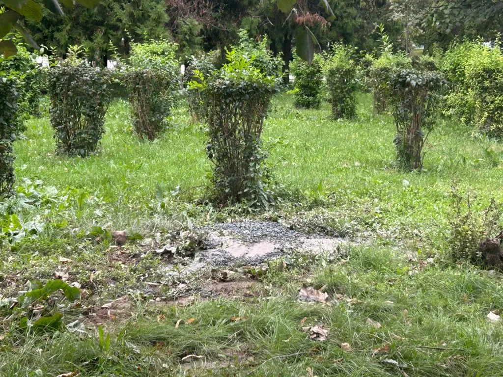 Dar cu iarba ce-ați avut?! (FOTO) – foto 9