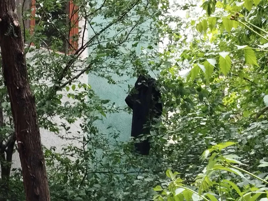 Apariții misterioase! Iată imaginile și explicațiile – foto 3