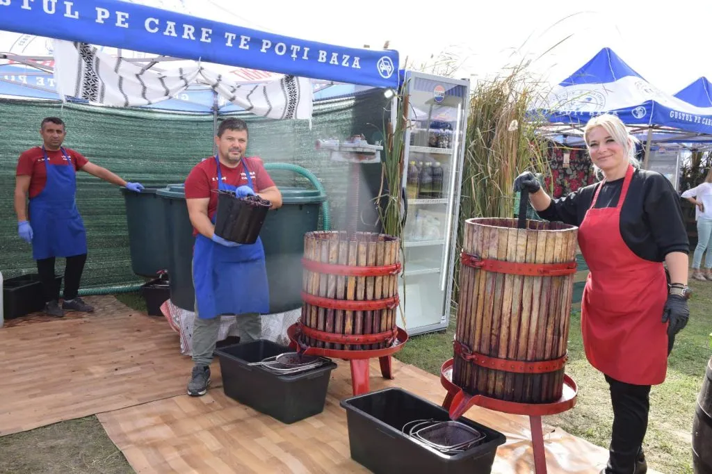 Cea de-a XX-a ediție a Festivalului „Rodul Pământului – Zilele Recoltei” de la Cumpăna a ajuns la final (FOTO) – foto 4
