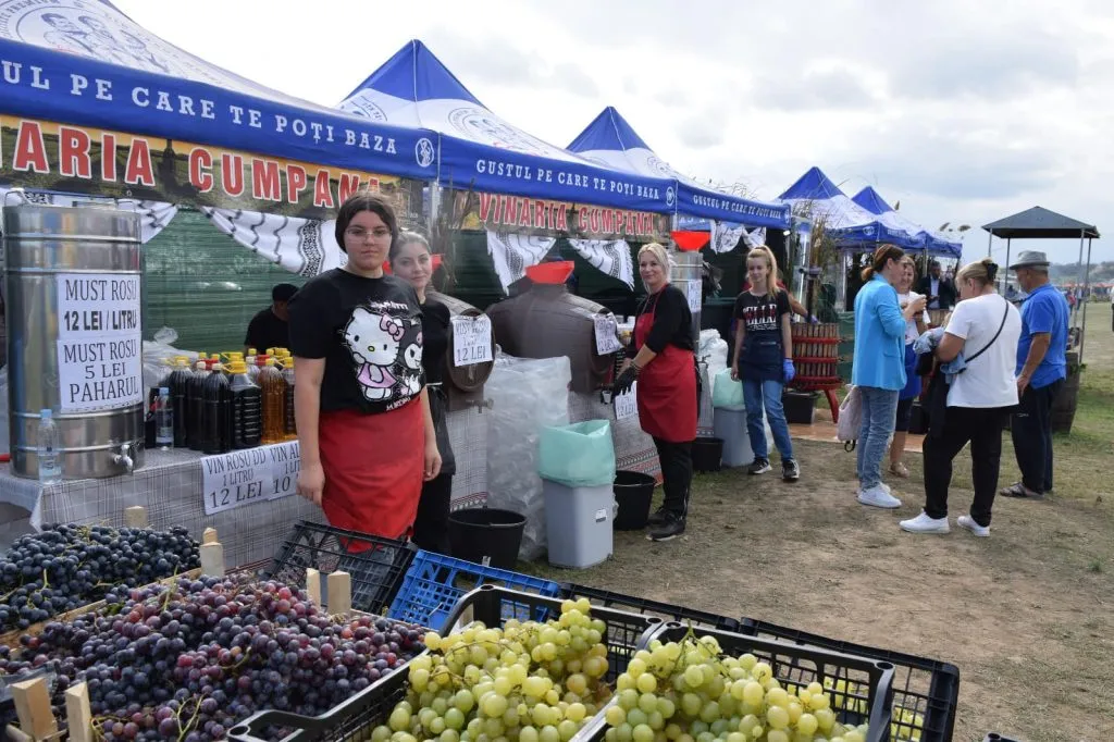 Cea de-a XX-a ediție a Festivalului „Rodul Pământului – Zilele Recoltei” de la Cumpăna a ajuns la final (FOTO) – foto 3