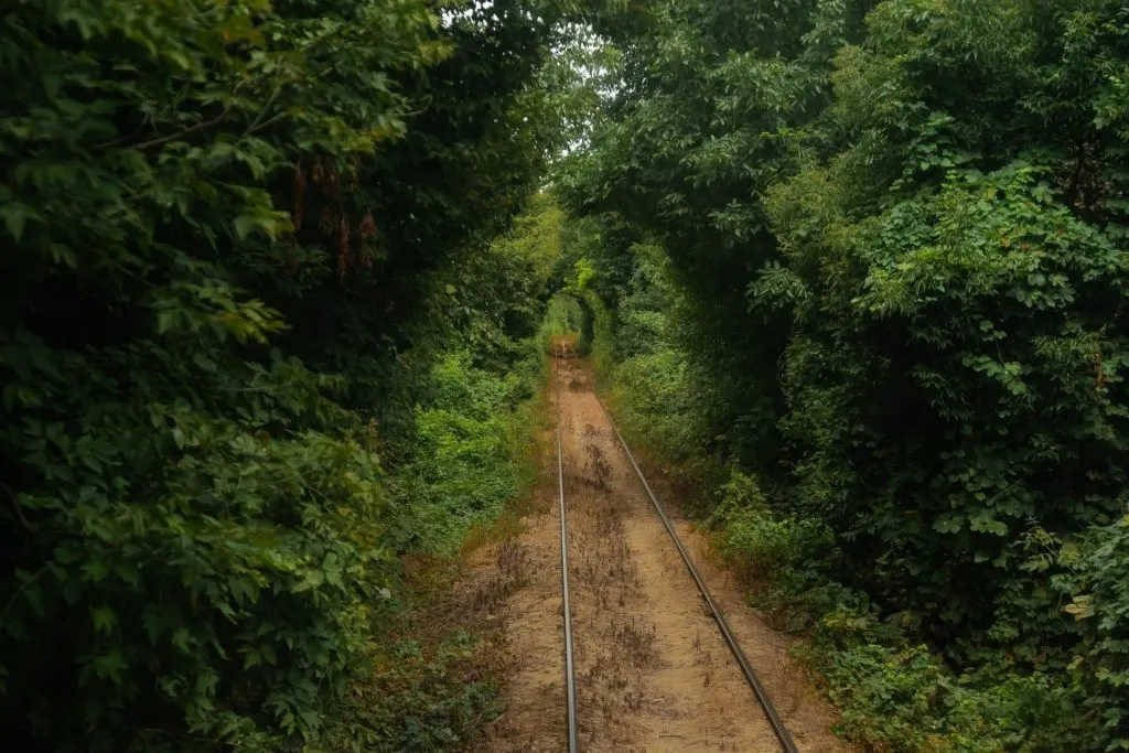 CFR, călătorii în… timp. Pleci azi, nu știi când ajungi – foto 2