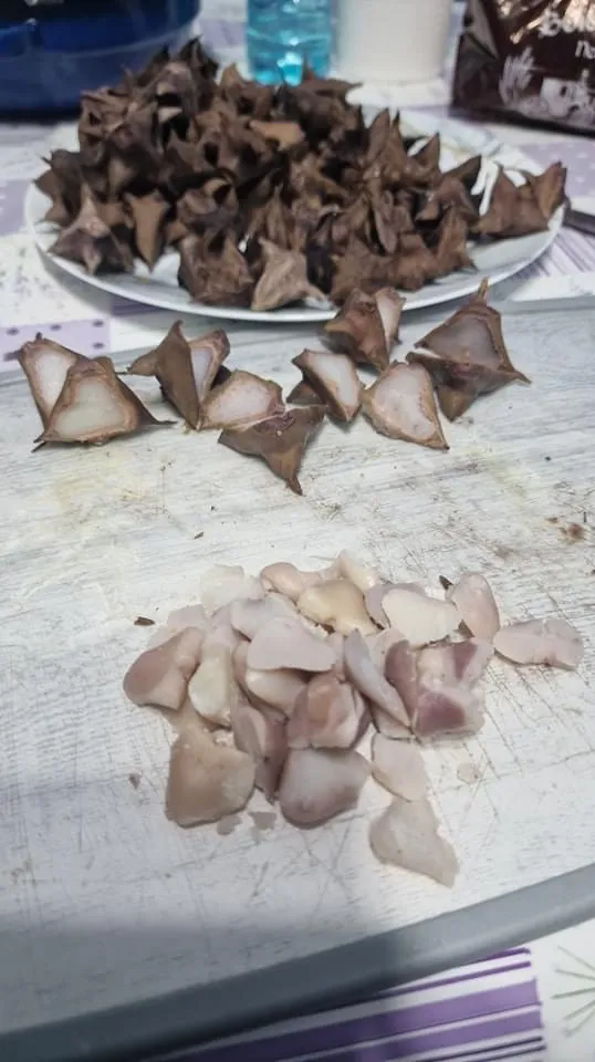 Ciulinii de baltă – delicatesa mai puțin cunoscută din Delta Dunării – foto 5