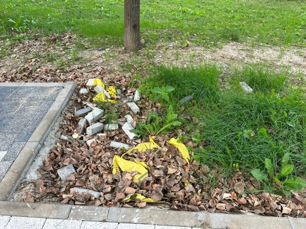 Dar cu iarba ce-ați avut?! (FOTO) – foto 4