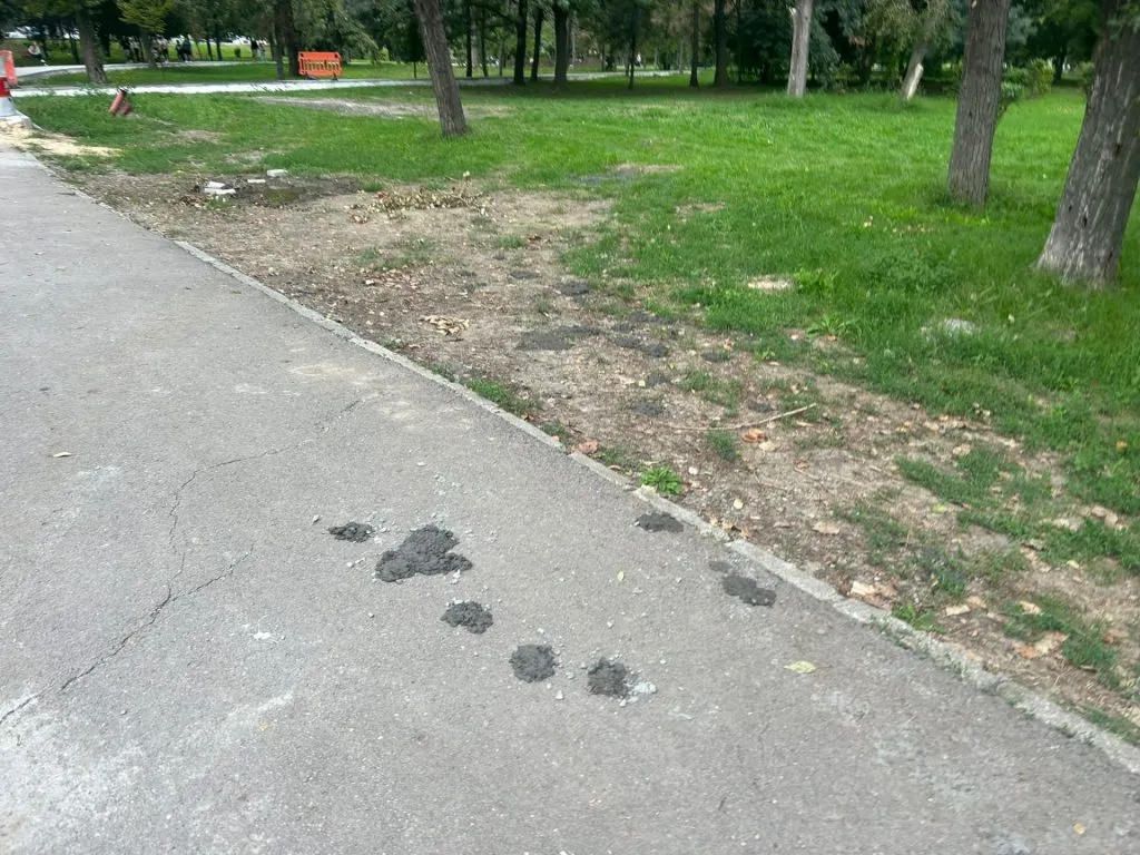 Dar cu iarba ce-ați avut?! (FOTO) – foto 6