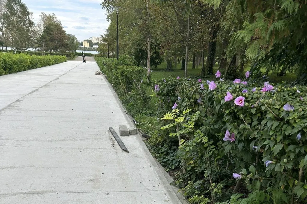 Dar cu iarba ce-ați avut?! (FOTO) – foto 18