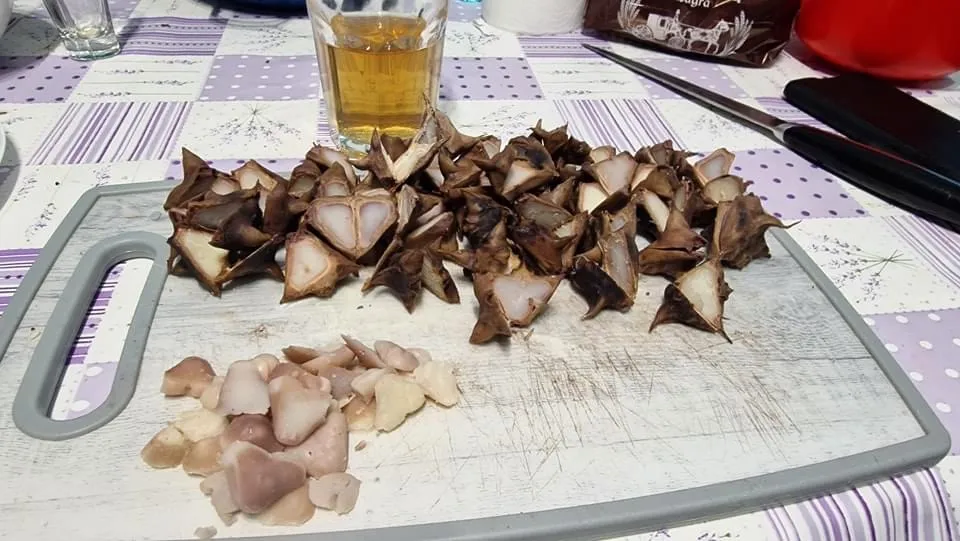 Ciulinii de baltă – delicatesa mai puțin cunoscută din Delta Dunării – foto 7