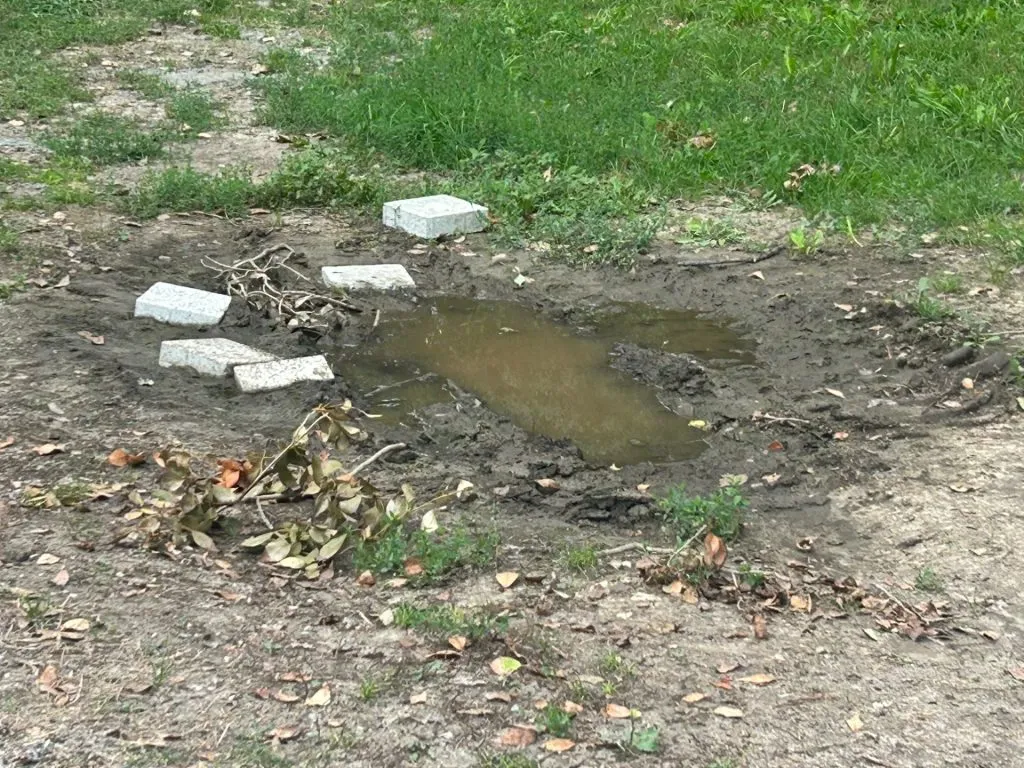 Dar cu iarba ce-ați avut?! (FOTO) – foto 14