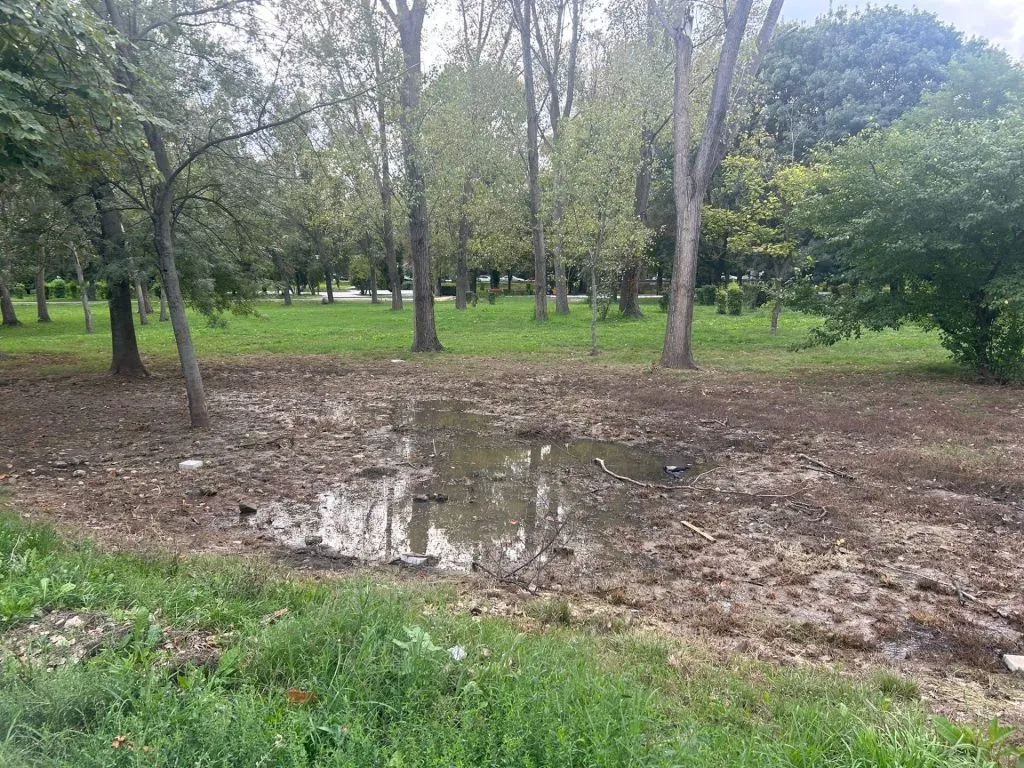 Dar cu iarba ce-ați avut?! (FOTO) – foto 13