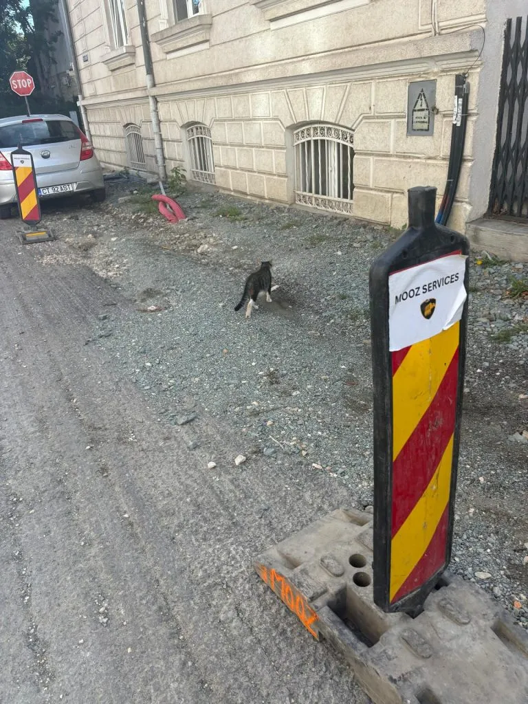 Coșmarul continuă în centrul Constanței. Strada Cuza Vodă, un șantier etern – foto 7