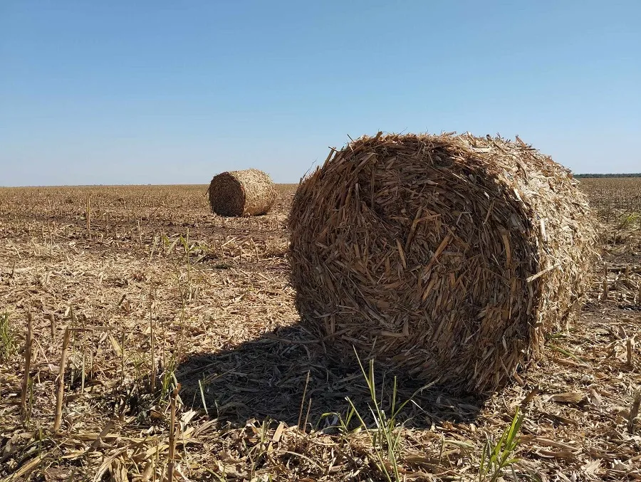 Noua grijă a românilor: „Vremea asta e influențată artificial!” – foto 3