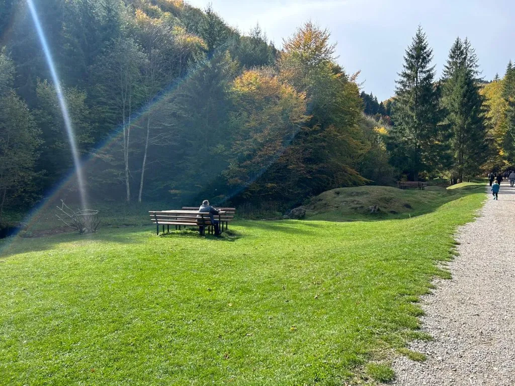 Toamna, la Cascada Urlătoarea, aceea mai puțin cunoscută (FOTO) – foto 3