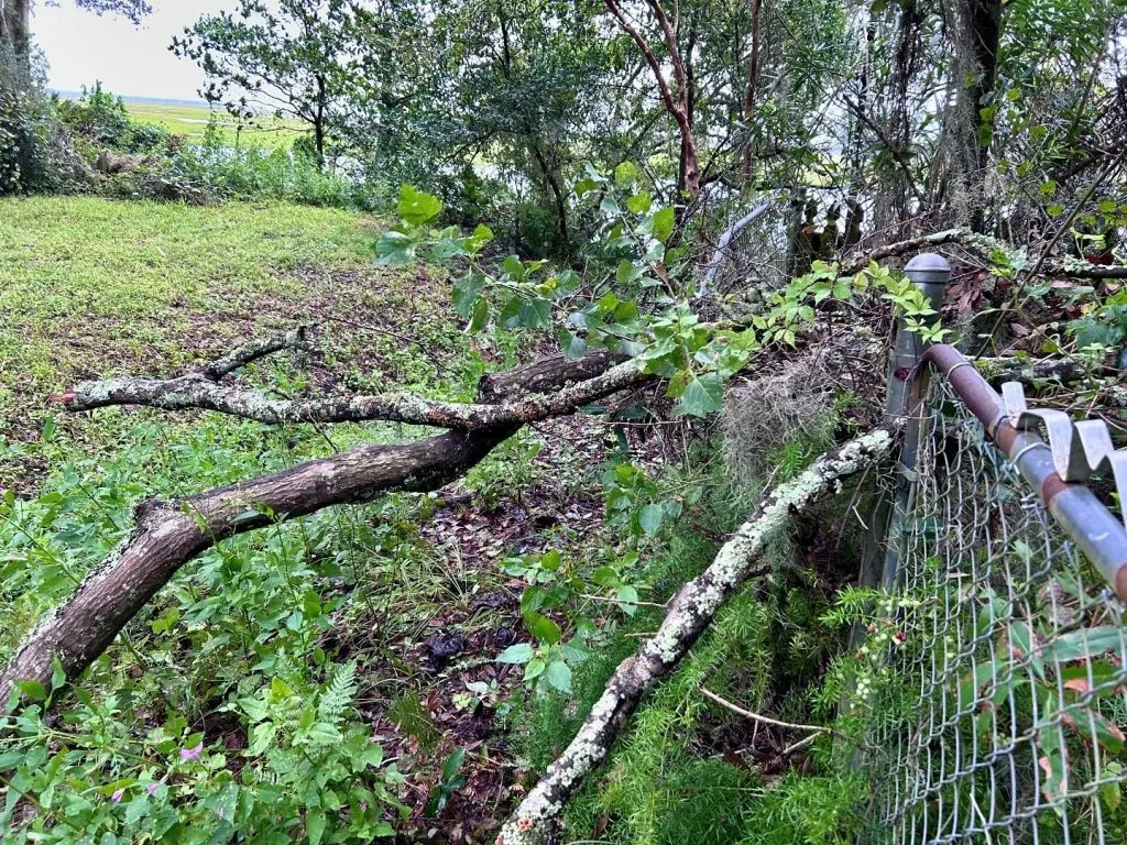 Cel puţin 16 morţi în Florida după trecerea uraganului Milton – foto 3
