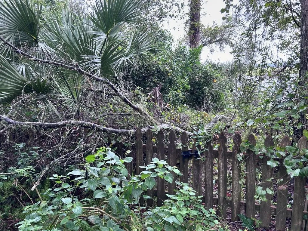 Cel puţin 16 morţi în Florida după trecerea uraganului Milton – foto 2