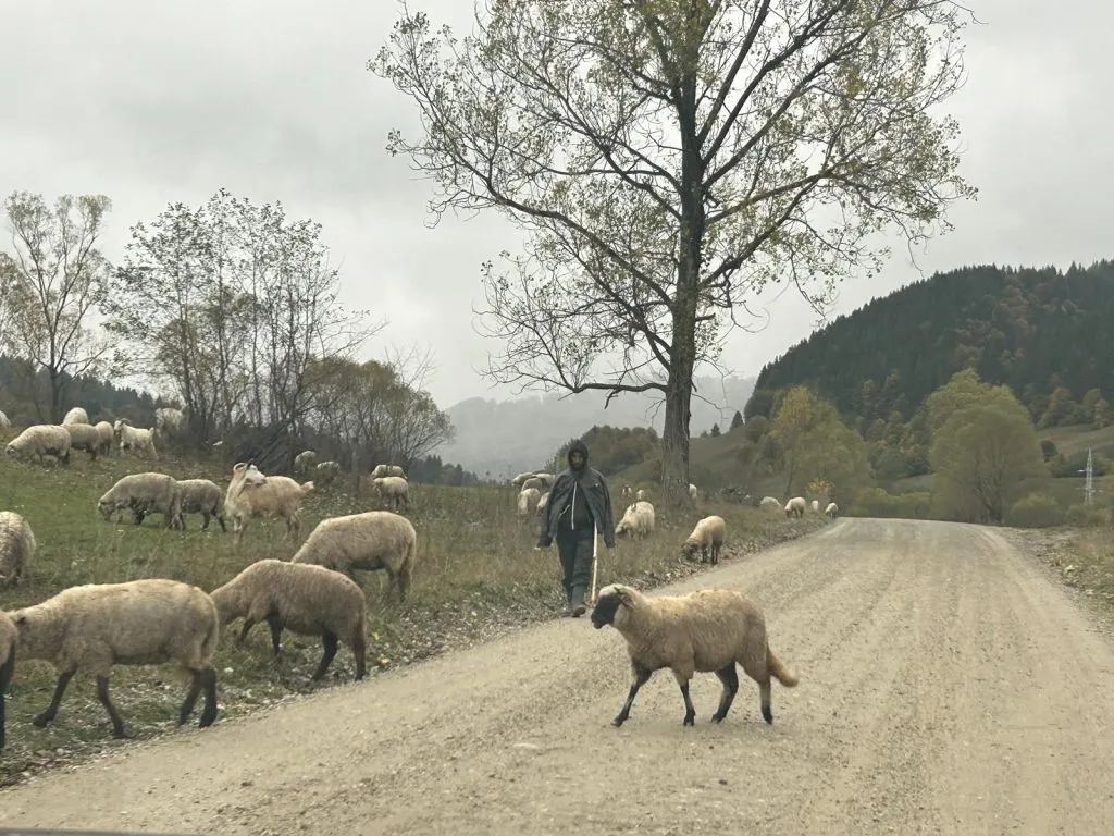 Liniște și deconectare, în mijlocul pustietății. All inclusive în vârf de munte (FOTO)  – foto 10