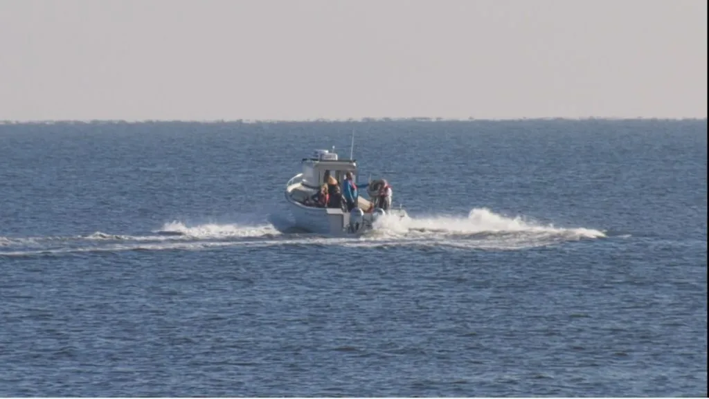 Vom cultiva stridii în Marea Neagră! – foto 4