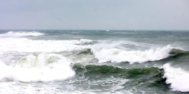 Porturile de la Marea Neagră, închise din cauza vântului puternic