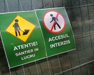 Constănțenii, îngrijorați de soarta arborilor de la Oleg Danovski: „Să nu-i taie!” – foto 2