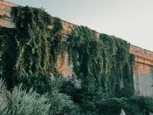 Constanța, între trecut și viitor – foto 5