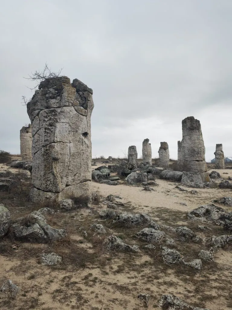 Vizită la Pădurea de piatră (FOTO) – foto 3