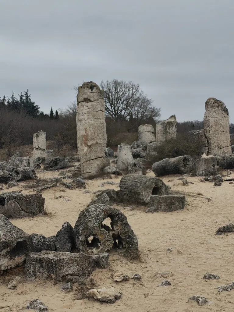 Vizită la Pădurea de piatră (FOTO) – foto 4