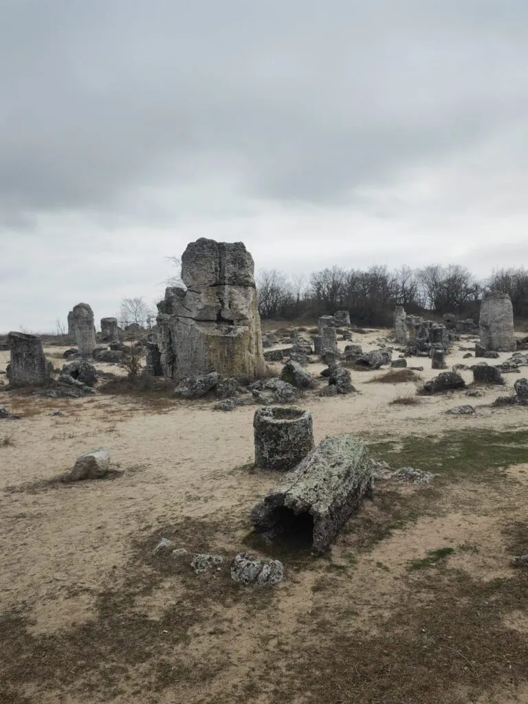 Vizită la Pădurea de piatră (FOTO) – foto 5