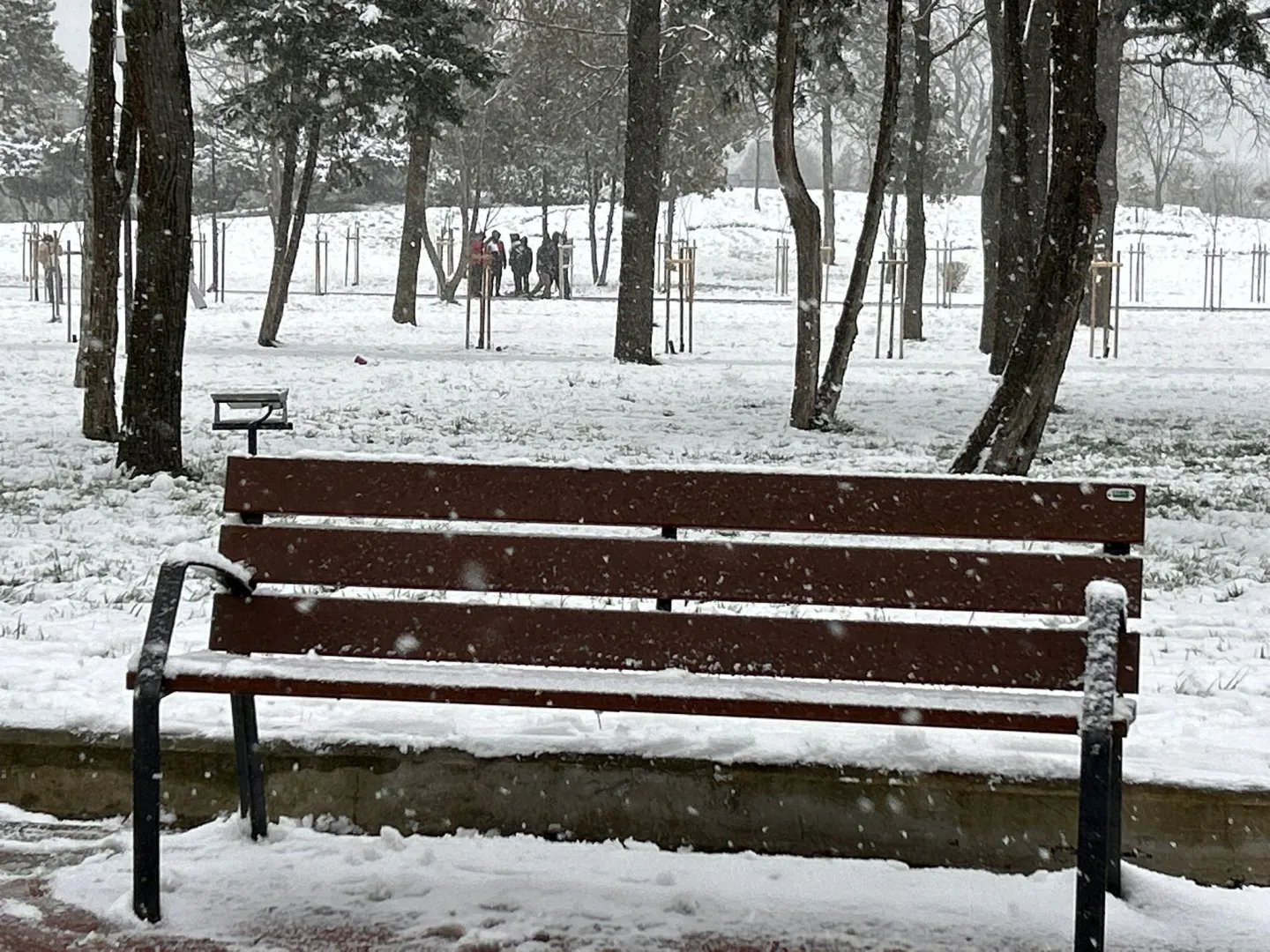 Vremea astăzi pe litoral