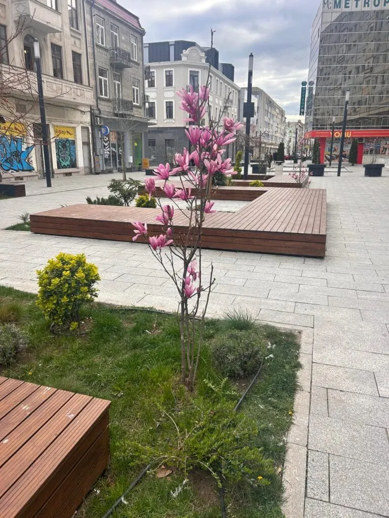 Civilizație… în lucru, la Constanța. Fântâni avem. Tot așteptăm și fie și apă în ele – foto 3