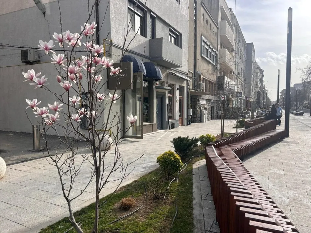 Civilizație… în lucru, la Constanța. Fântâni avem. Tot așteptăm și fie și apă în ele – foto 4