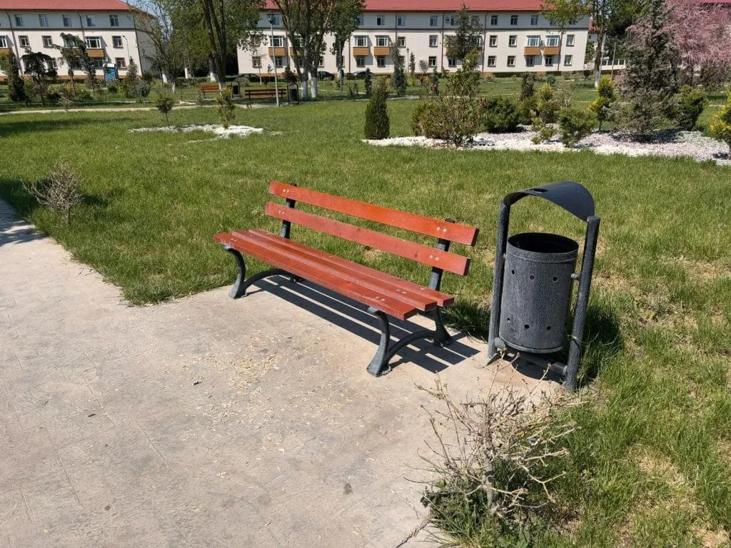 Pierdut bun simț. Găsit din abundență… coji de semințe! – foto 4