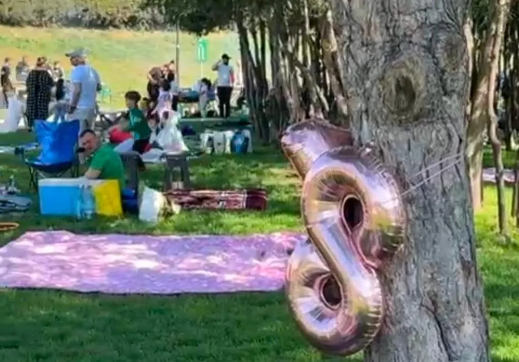 Credeați că plajele sunt pline?! Parcurile cu locuri special amenajate pentru grătare gem de oameni, încă din zorii zilei – foto 2