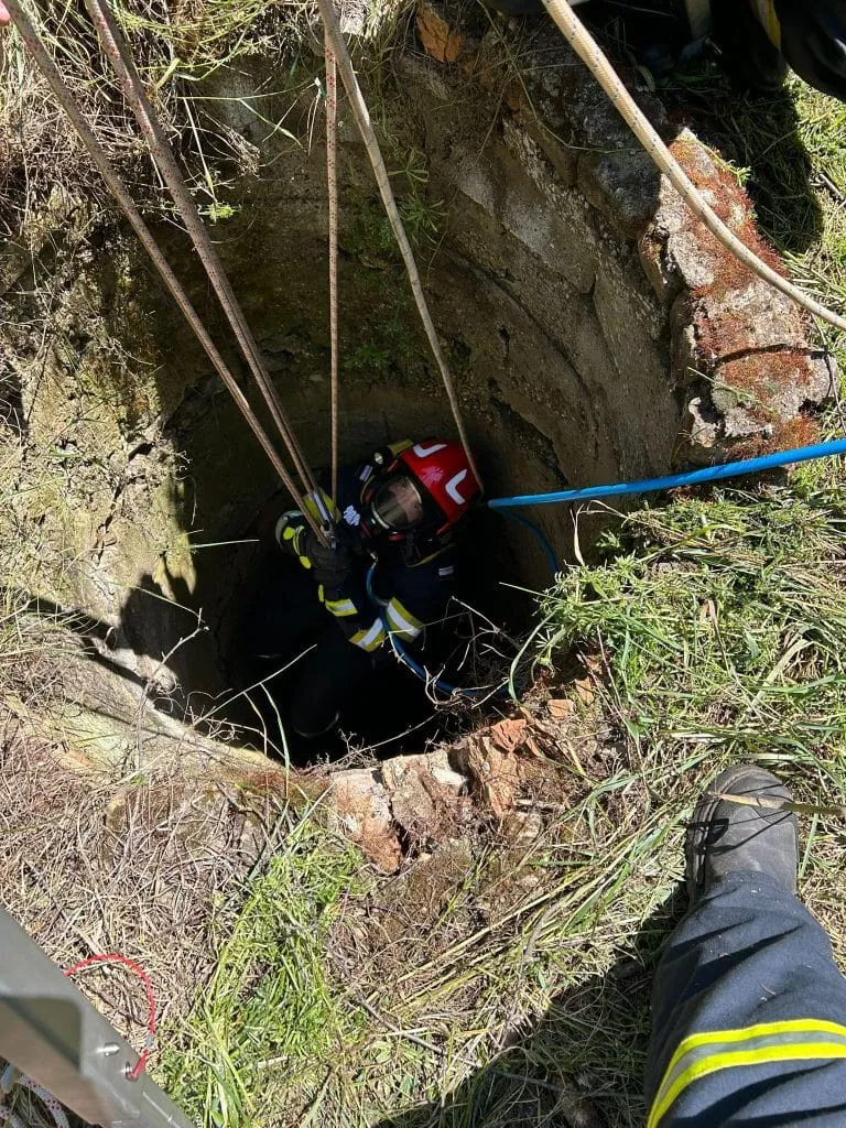 Mobilizare la Cumpăna, pentru cel mai bun prieten al omului (FOTO) – foto 5