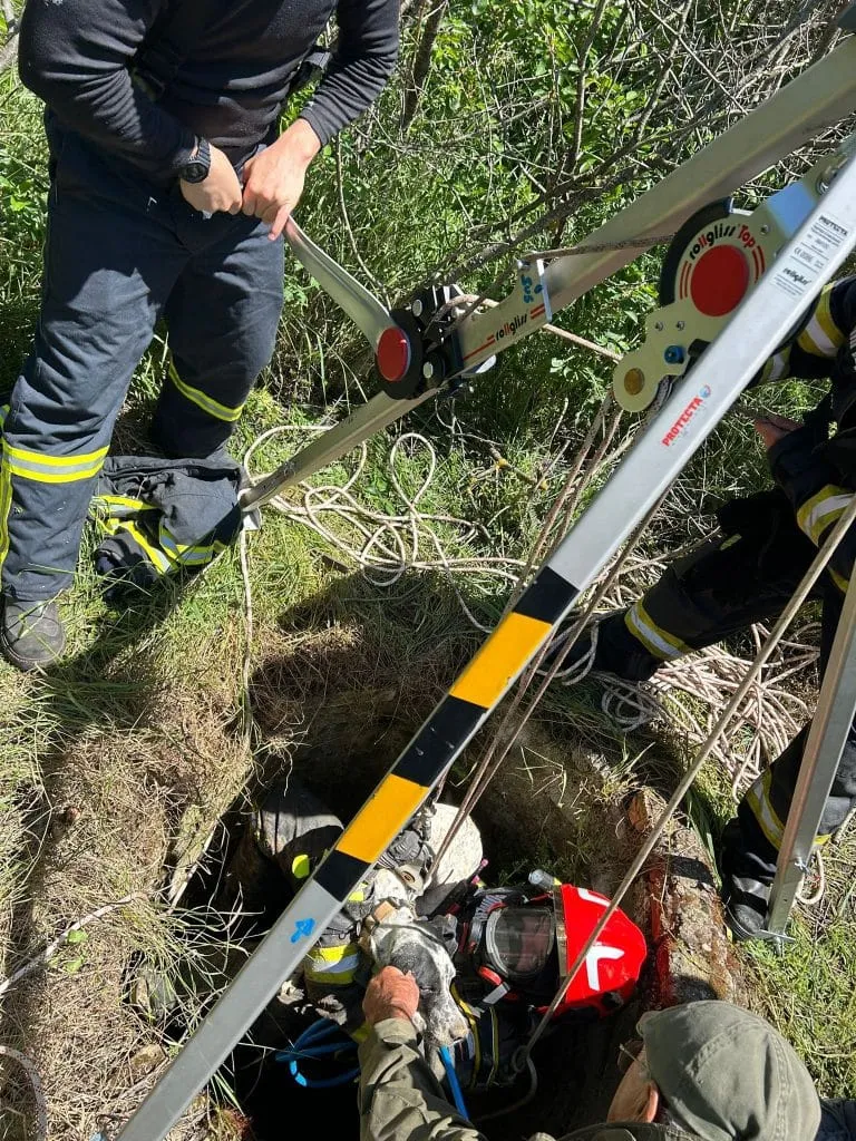 Mobilizare la Cumpăna, pentru cel mai bun prieten al omului (FOTO) – foto 2
