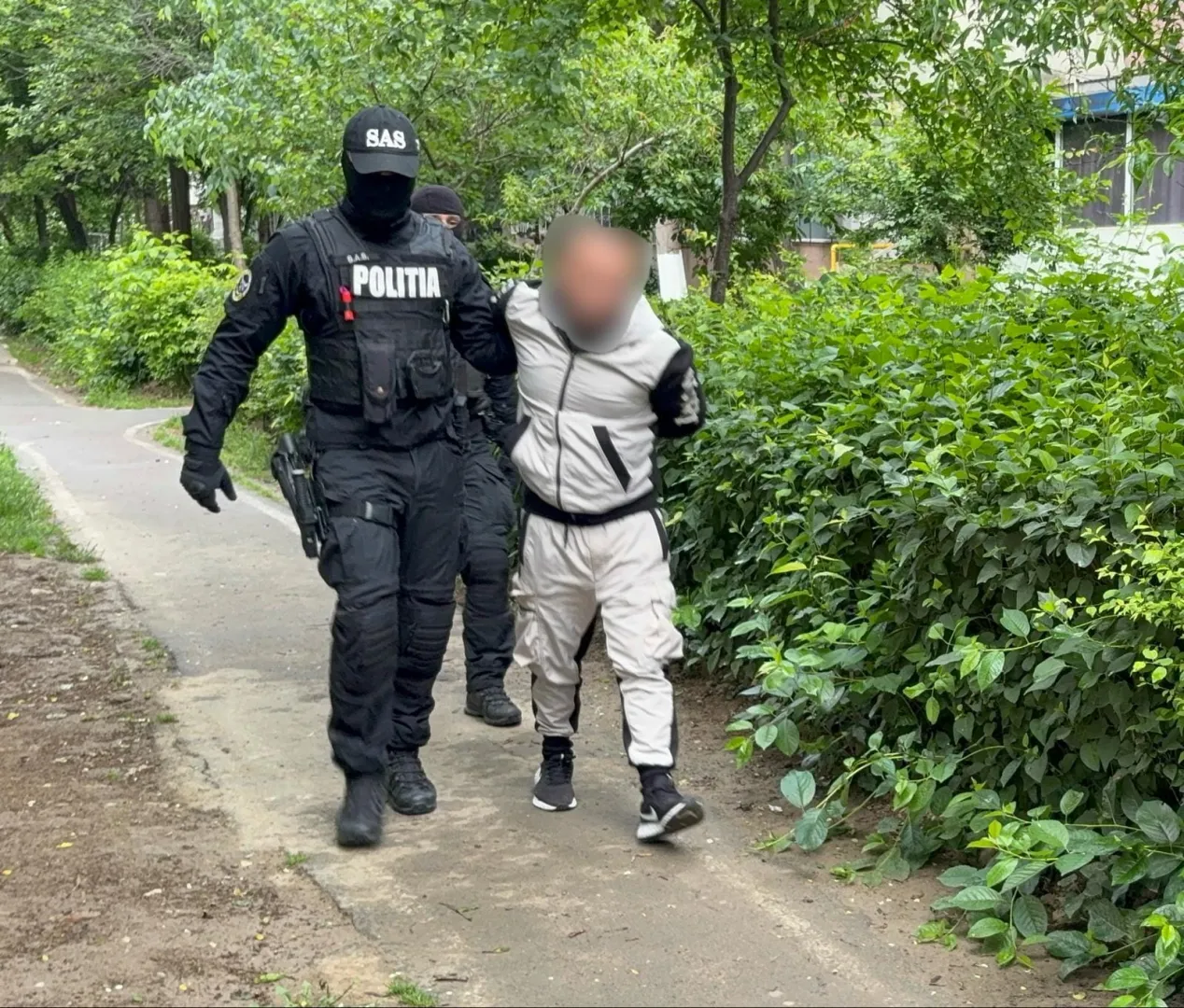 Percheziții în Constanța și Călărași. Rețea de proxenetism destructurată