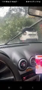 Furtună puternică în București: copaci doborâți și străzi inundate – foto 3